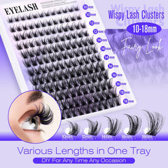 Lashbeautypro Wispy Cluster Eyelash Extensions 10-18mm DIY Individual Lashes D Curl