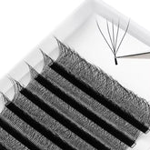 Lashbeautypro W-Shaped 5D Wispy Premade Fans Lashes