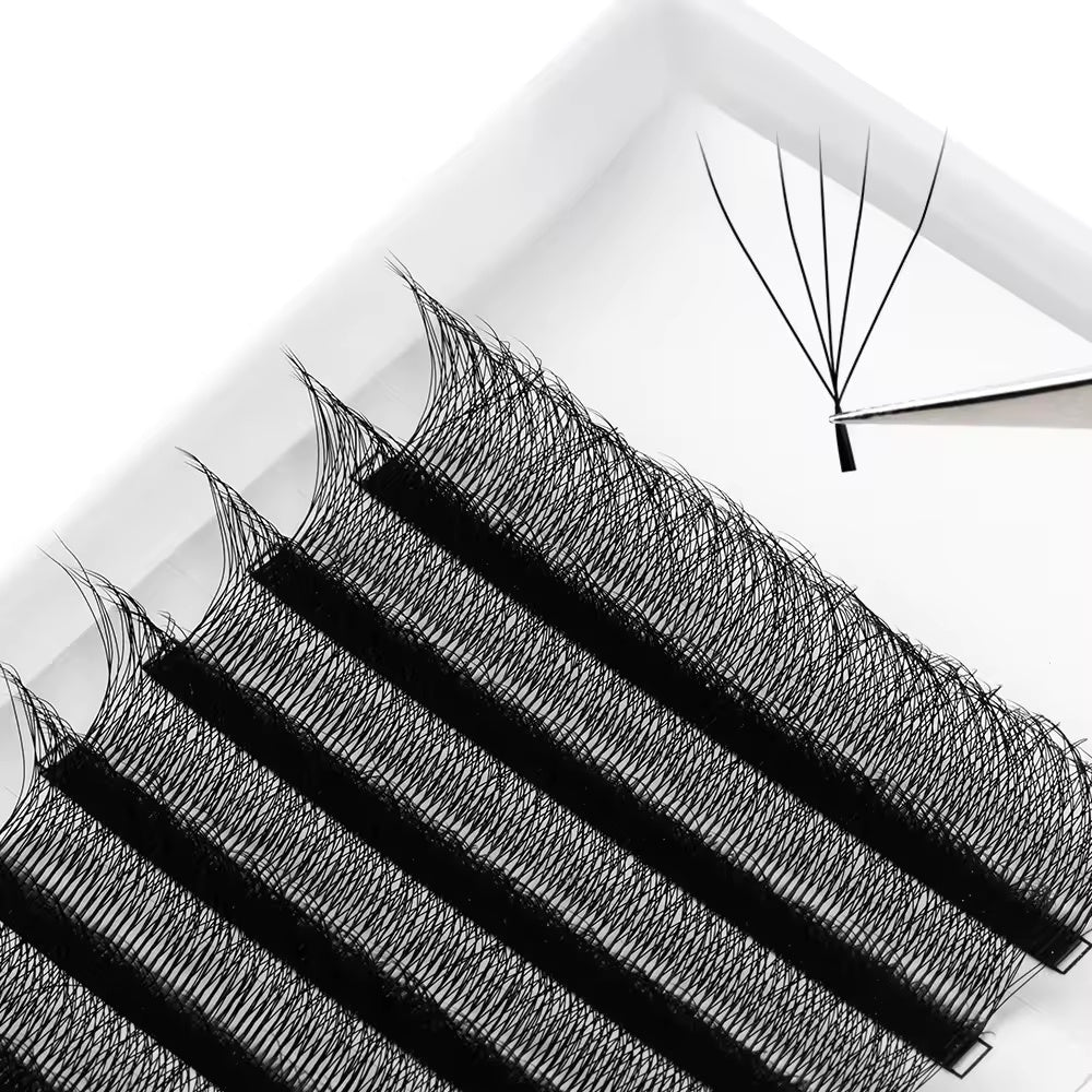Lashbeautypro W-Shaped 5D Wispy Premade Fans Lashes