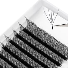 Lashbeautypro W-Shaped 5D Wispy Premade Fans Lashes