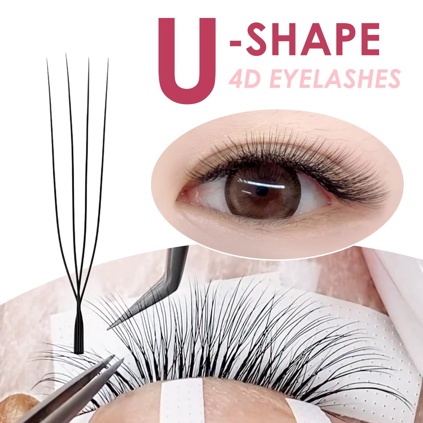 Lashbeautypro U-shaped 4D W Eyelashes Prumium Premade Fans Volume Eyelash Extensions