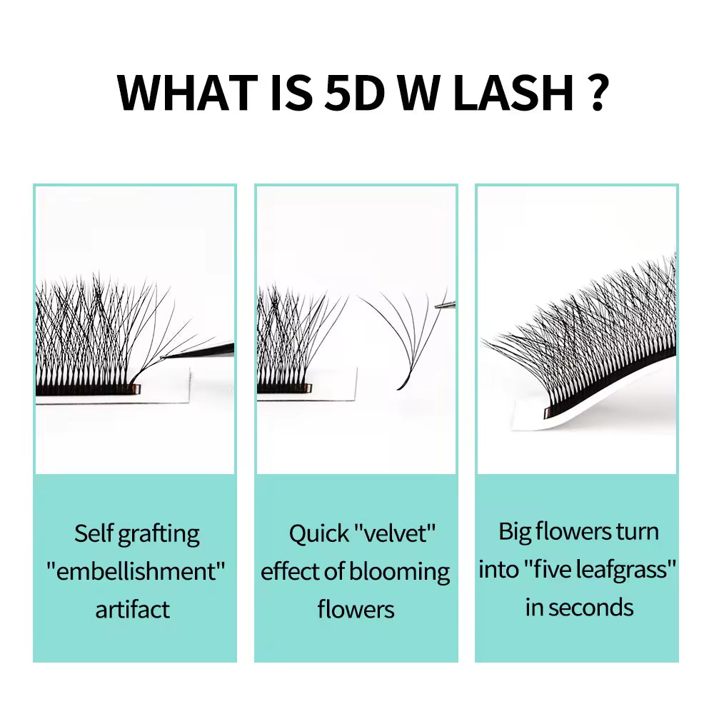 Lashbeautypro W-Shaped 5D Wispy Premade Fans Lashes