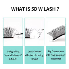 Lashbeautypro W-Shaped 5D Wispy Premade Fans Lashes