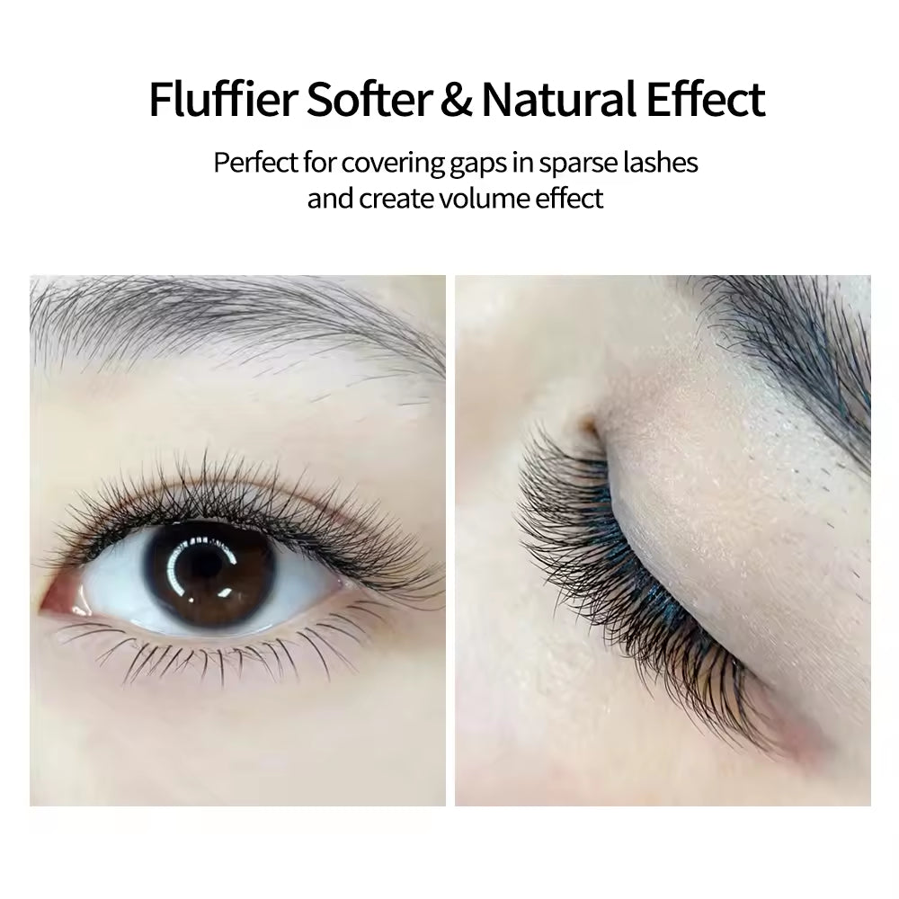 Lashbeautypro W-Shaped 5D Wispy Premade Fans Lashes