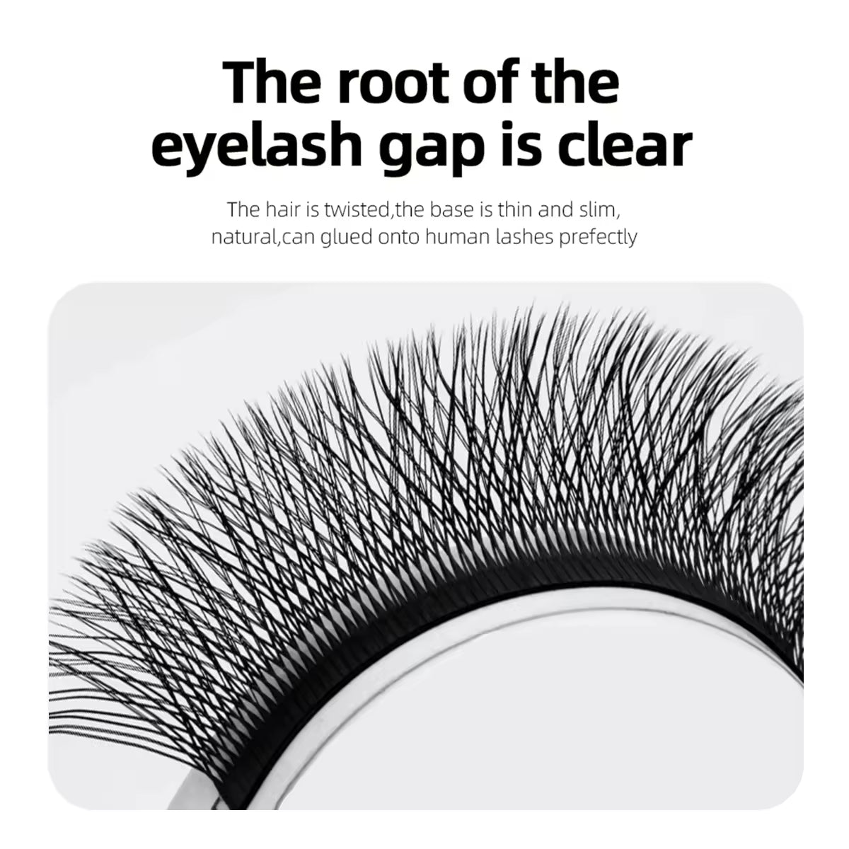 4D W Type Volume Lash Extension Individual Professional Eyelash Extensions